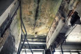 Best Residential Mold Inspection & Testing  in Dallastown, PA